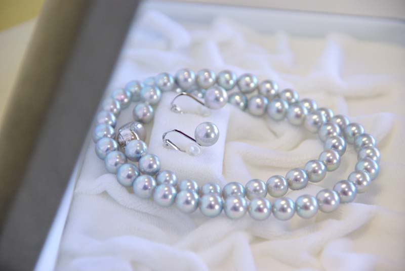 高温多湿な場所や防虫剤などの近くは避け、ケースなどに保管してください。